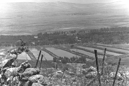View of the fish ponds of Kibbutz Daphna seen from the "Tel Azaziat" position on the Syrian Heights. -GPO 08/03/1967
